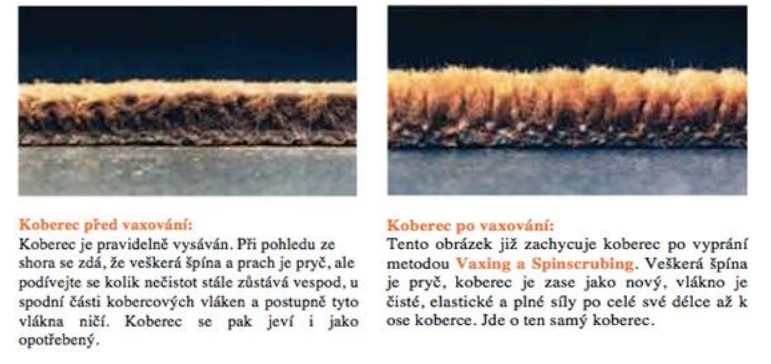 Čištění vlněných koberců