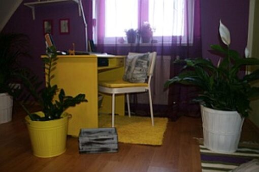 Proměny interiérů